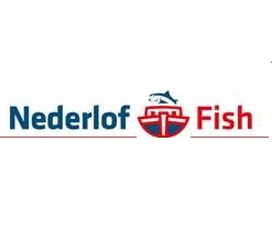 nederlof | Arbo Amsterdam